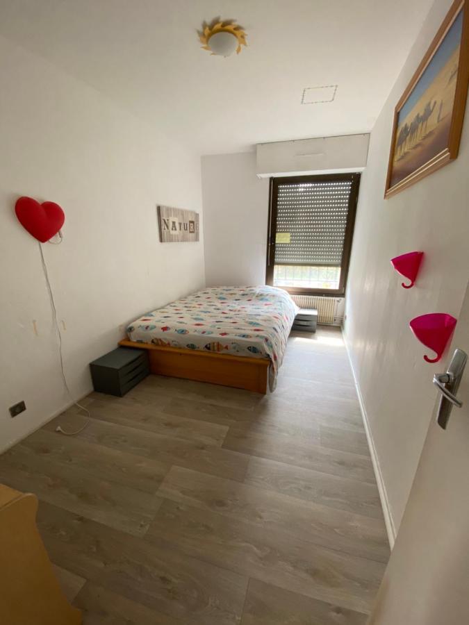 Nancy Hyper Centre, Chambre Prive Chez L'Habitant En Colocation Eksteriør billede